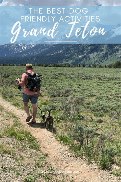 7 Grand Teton National Park Dog Friendly Activities - Wandering Stus