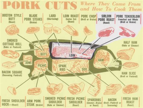 roast - pork sirloin vs pork tenderloin ? Which will be most tender? - Seasoned Advice