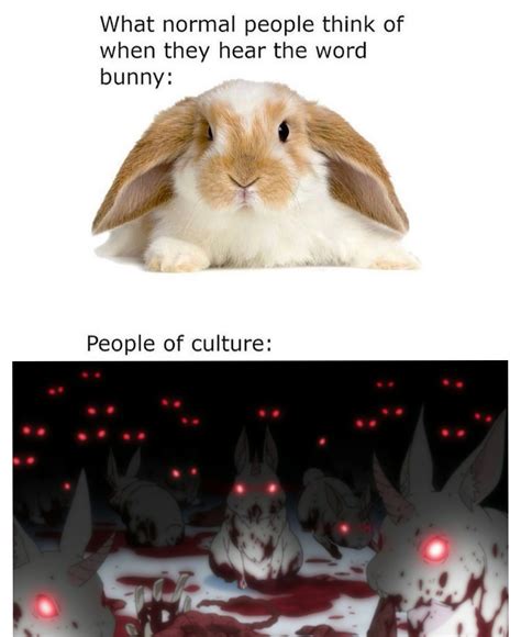 865 best Cute Bunny images on Pholder | Aww, Cute and Re Zero