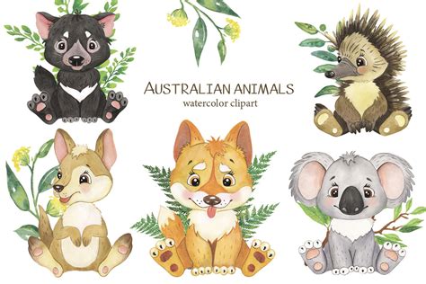 Australian animals clipart. Watercolor clipart, tropical little animal By Evgeniia Grebneva ...