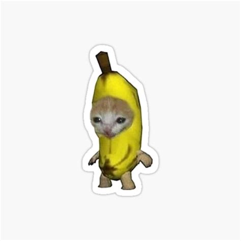 Banana Cat Meme | ubicaciondepersonas.cdmx.gob.mx