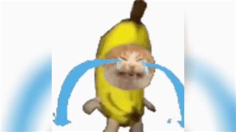 Sad Banana Cat | Know Your Meme