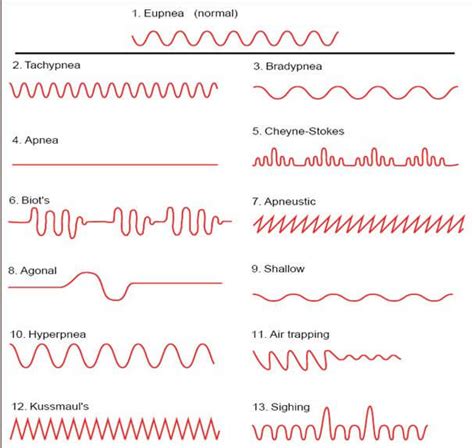 respiratory physiotherapy, patterns of respiration, abnormal breathing