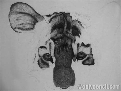 Pencil Drawing Methods | Photo Realistic Pencil Drawing | Graphite Pencil Drawing | Indenting ...