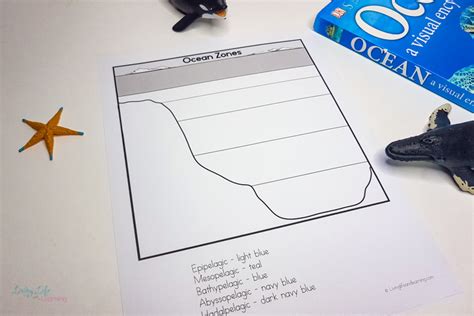 Ocean Zones Worksheet For Kindergarten - Kristins Traum