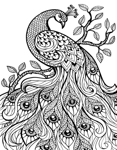 Free Printable Peacock Coloring Pages For Kids