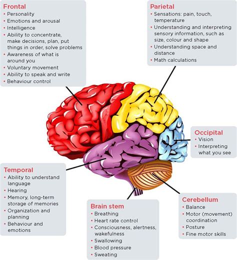 Highlights on recent advances and approaches in Stroke rehabilitation