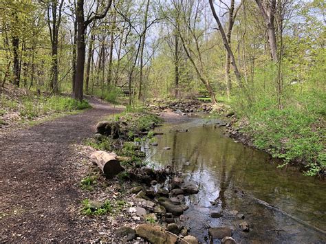 A Walk by the River | Celia Reaves