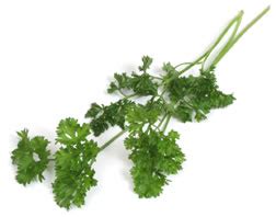 Curly parsley | Recipes Wiki | Fandom