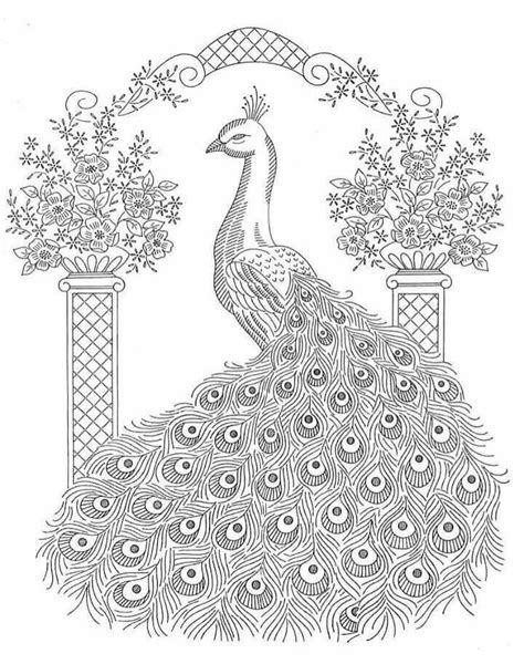 Pin by Rosemarie Sancho on Para Pintar Pavos | Peacock coloring pages, Animal coloring pages ...