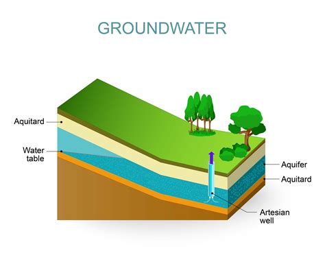 Are You Struggling with a High Water Table? - Excavation Oregon