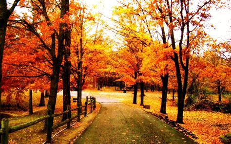 Beautiful Fall Backgrounds - Wallpaper Cave