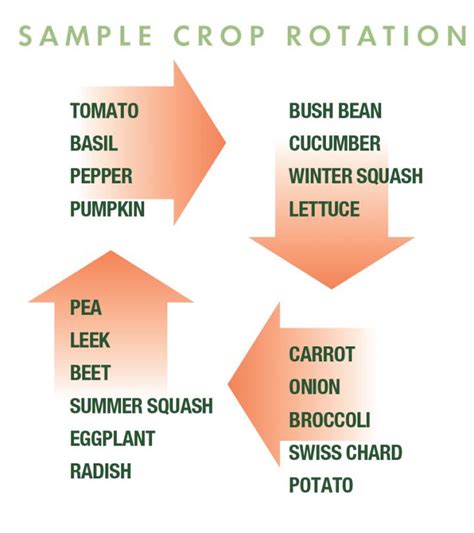 Four-Bed Crop Rotation for Small Gardens | Almanac.com