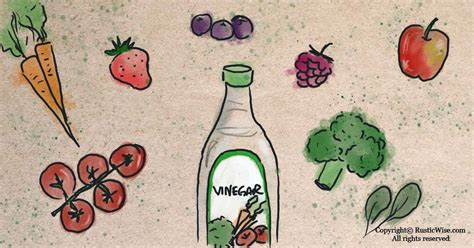 How To Wash Fruits And Vegetables With Vinegar (and Do You Really Need » RusticWise