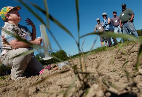 Sustainable farming practices explained | Hello Homestead