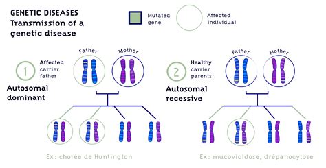 Genetic Disorders – Dr. Smita Ramachandran