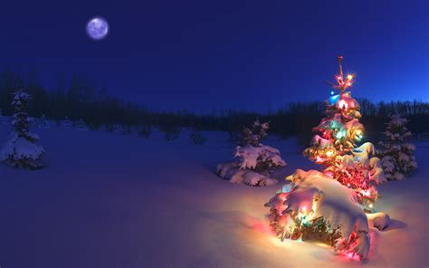 Wallpaper Of A Christmas Tree In Snowy Night | Free Wallpaper World