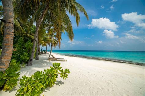 Beach - Fiyavalhu Resort Maldives