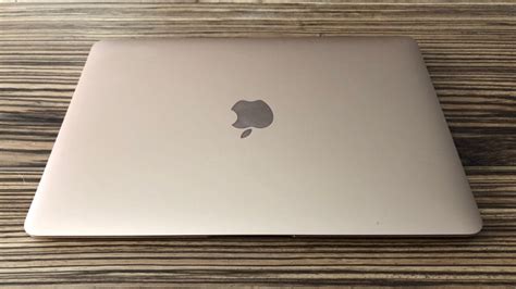 The Super Efficient Golden Apple 12-Inch MacBook Laptop Review | 2019 Models