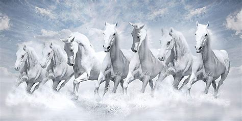 Full Hd 7 Running White Horse Hd Wallpaper - WALLPAPER NATURAL IMAGES