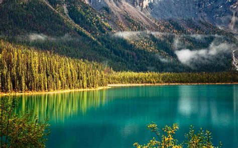 lake, national, Yoho National Park, emerald, Emerald Lake, yoho, forest, Canada, mountains ...