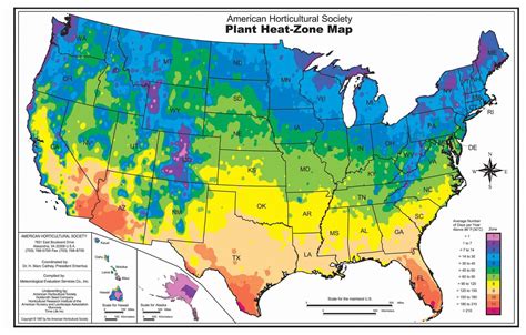 Hardiness Zone Map 2024 By Zip Code - Kalie Marilin