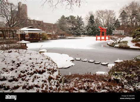 Winter Brooklyn Botanic Garden Stock Photo - Alamy