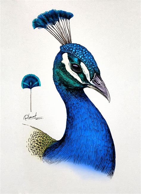 Hand painted peacocks, computer color, practice works | Animal illustration, Peacock wall art ...