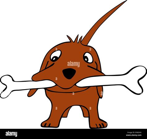 Dog bone vector hi-res stock photography and images - Alamy