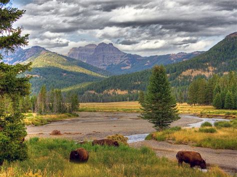 The Natural Beauty Of The Yellowstone National Park