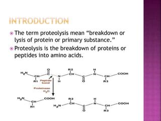 Proteolysis 1 | PPT