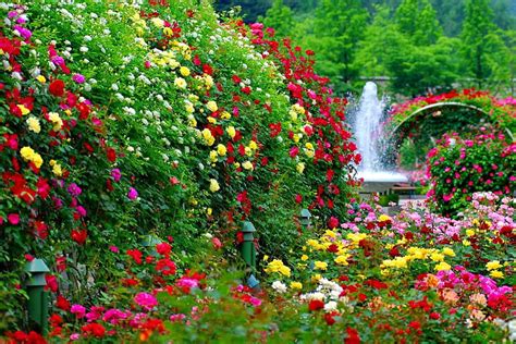 Beautiful Flower Garden Hd Images - Home Alqu