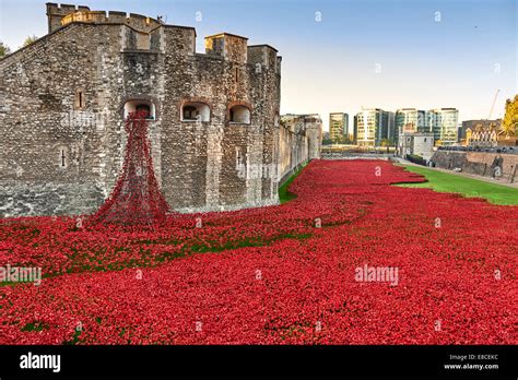 Tower of London Poppies in the Moat HRP-Tower London -WW1-LogoFrom 5 August 2014 to 11 November ...