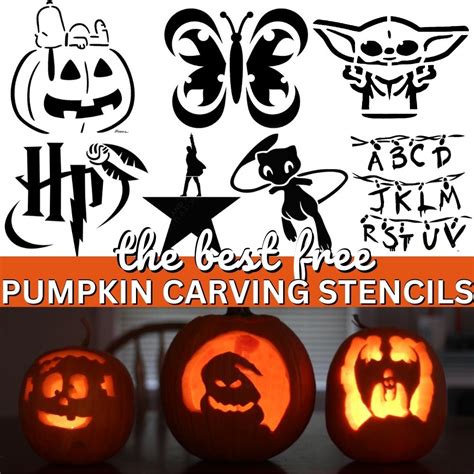 Easy Pumpkin Carving Cat Face: Learn the Simple Steps to Create a Perfectly Adorable Halloween ...