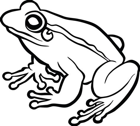 Collection of Tree Frog PNG Black And White. | PlusPNG