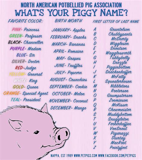 The Perfect Pig: Quirky And Unique Names For Your Precious Piggy