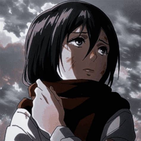 Mikasa Ackerman Aesthetic Attack On Titan Pfp - K0nem