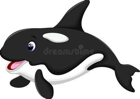 Cute killer whale cartoon stock illustration. Image of ocean - 55467886