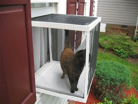 39 HQ Photos Diy Cat Outdoor Window Perch - 13 Cool Catios for Your Feline Friend | Outdoor cat ...