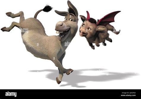 Shrek Dragon Donkey Babies