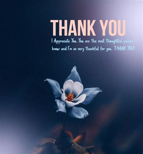 147 Best Thank You Messages Wishes – Be Thankful Appreciation Quotes about Thank You Notes ...