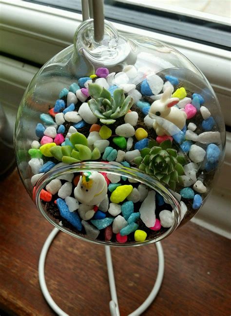 Glass Hanging Terrarium Kits | Ann Inspired