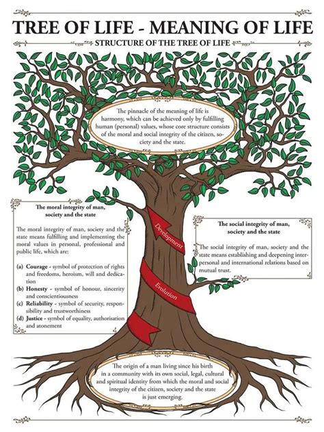 What Does The Tree Of Life Mean (2024) Meaning, Symbol, Bible