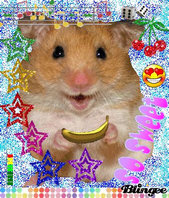 hamster eat Banana Picture #91268784 | Blingee.com