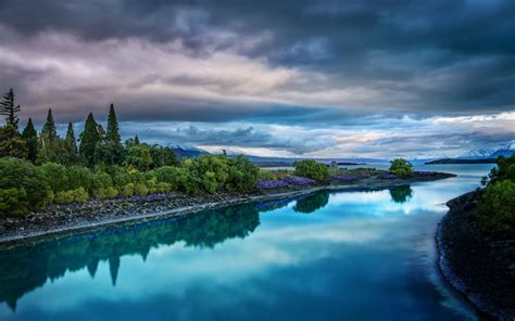 nature, Landscape, Wildflowers, Trees, Calm, River, Water, Overcast, Clouds Wallpapers HD ...