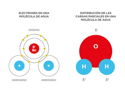 exprimir pulmón Honesto cargas del agua Cumplir Jane Austen manguera