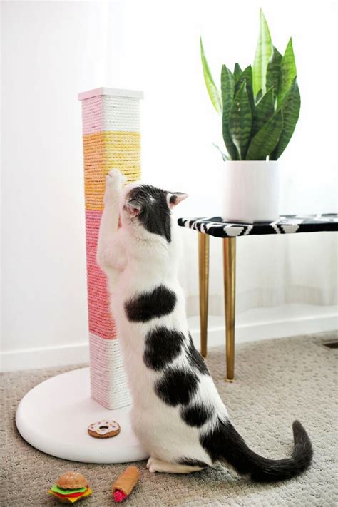 15 Easy DIY Cat Scratching Post Plans (Make a Cat Scratcher)