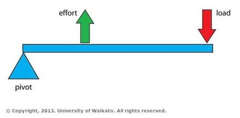 Pivot diagram of a Class 3 lever — Science Learning Hub