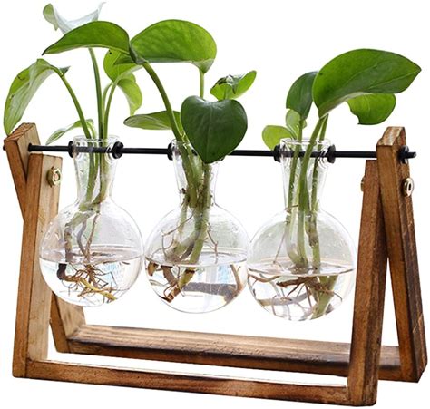 11 Best Gifts for Plant Lovers - Cute Plant Gift Ideas 2020 - Indoor Plants