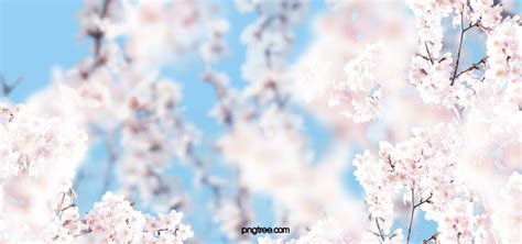 Pink Cherry Blossom Background Creative Realistic Style | PSD Free Download - Pikbest